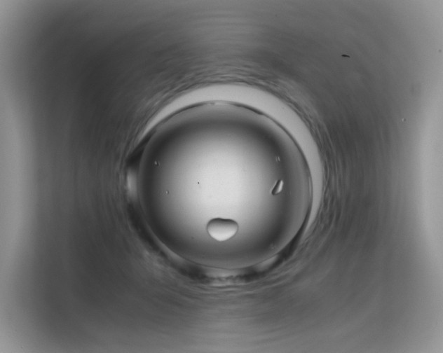 X0000112210415200908071458