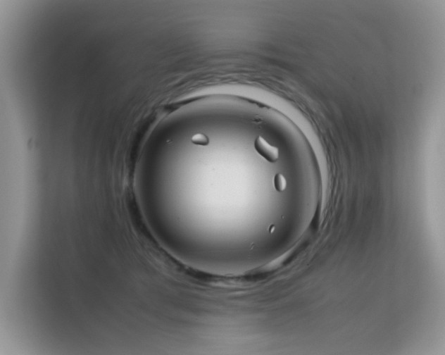 X0000112210417200908071458