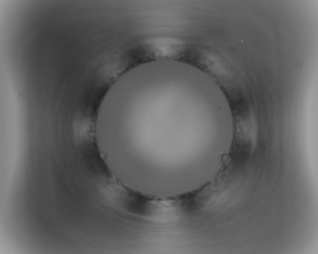 X0000112210419200908071458