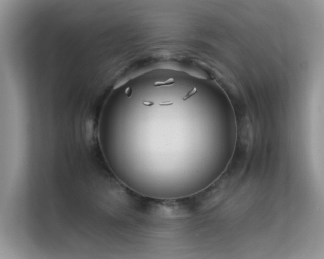 X0000112210420200908071458