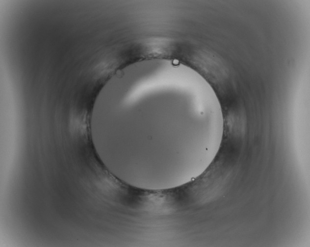 X0000112210423200908071458