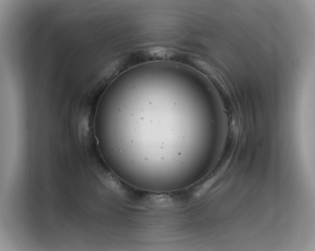 X0000112210424200908071458