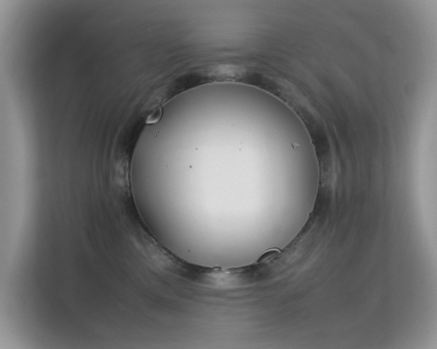 X0000112210425200908071458