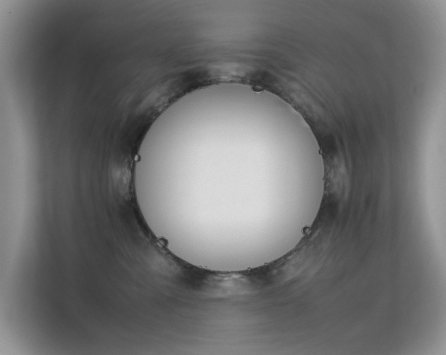 X0000112210427200908071458