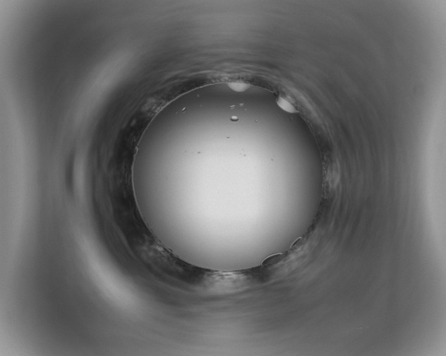 X0000112210429200908071458