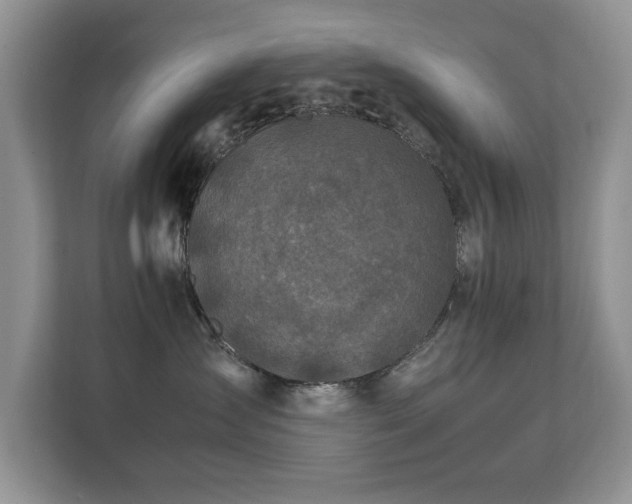 X0000112210431200908071458