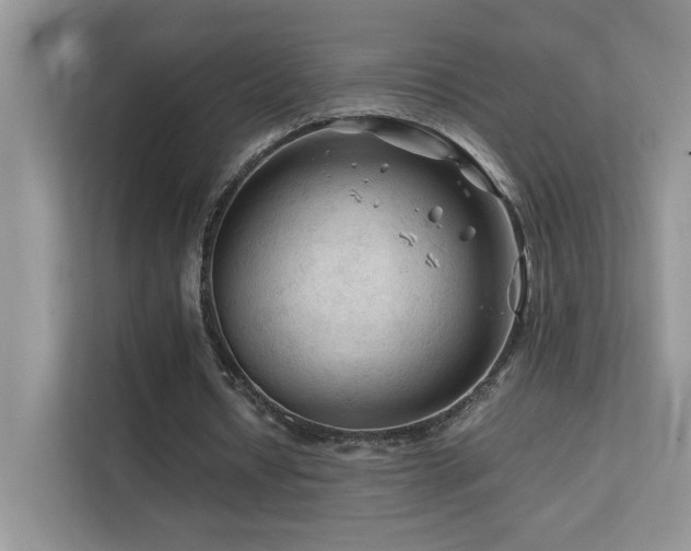 X0000112210434200908071457
