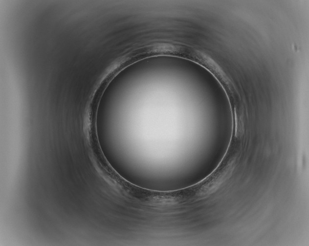 X0000112210435200908071457