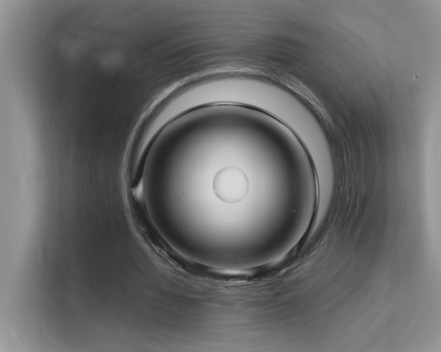 X0000112210436200908071457