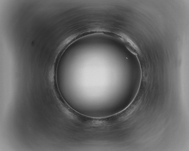 X0000112210437200908071457