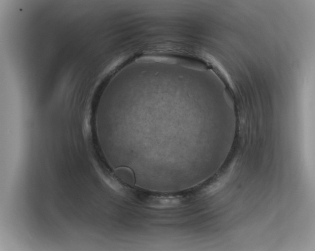 X0000112210443200908071457