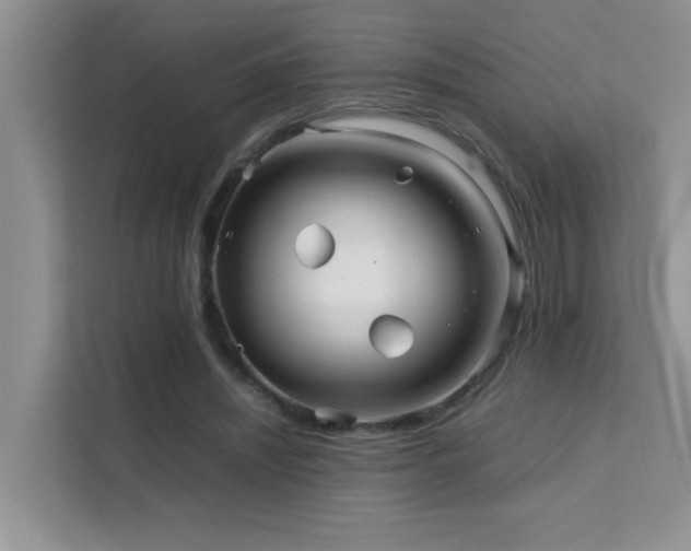 X0000112210444200908071457