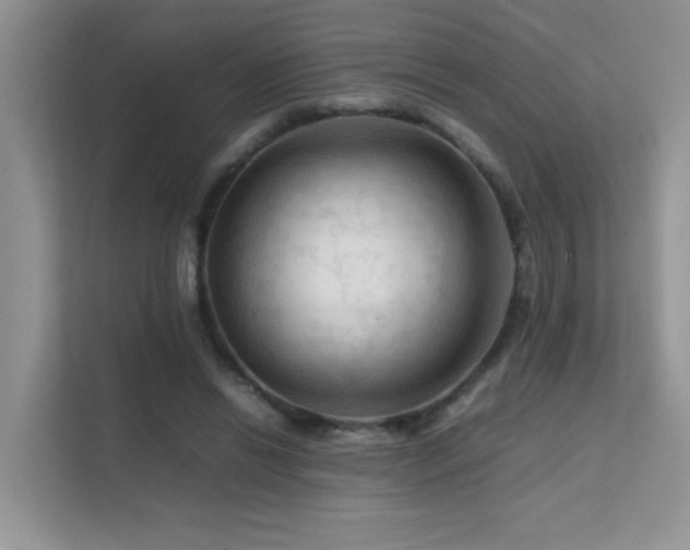 X0000112210446200908071457