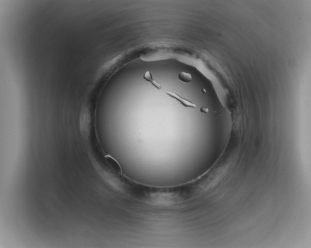 X0000112210448200908071457