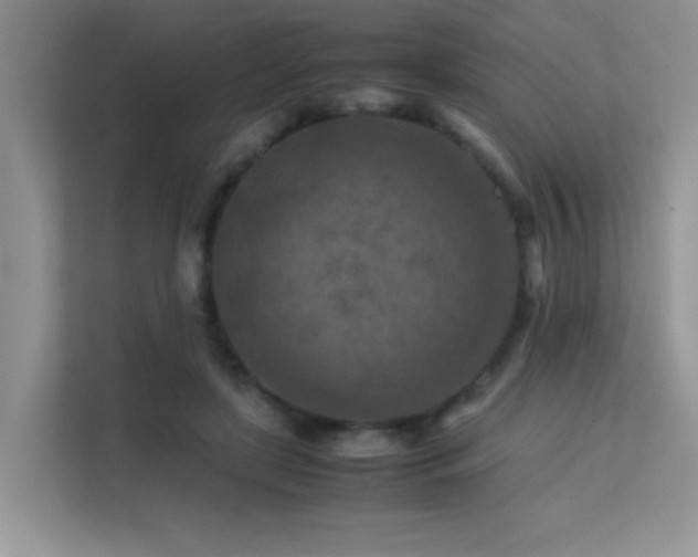X0000112210451200908071457