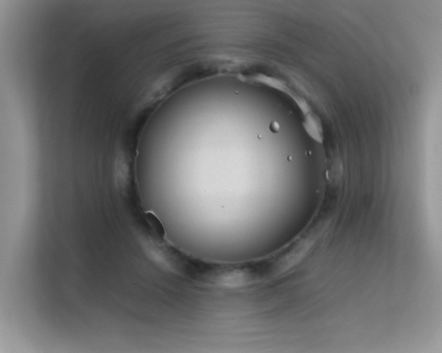 X0000112210456200908071457