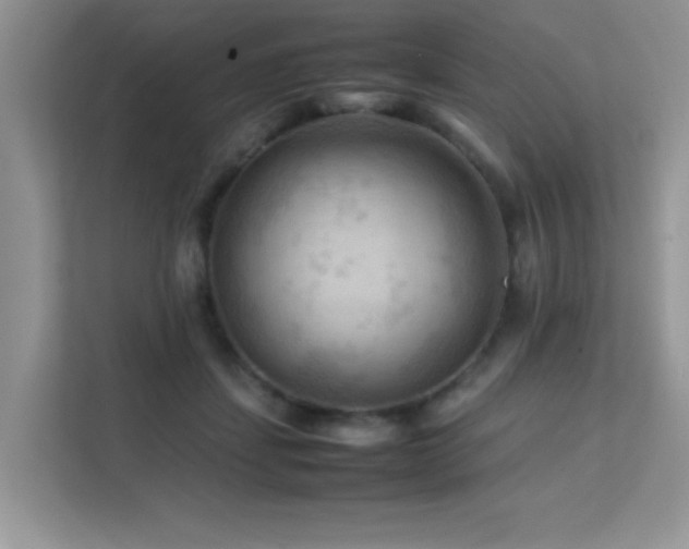 X0000112210459200908071457
