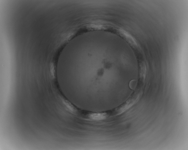 X0000112210465200908071457