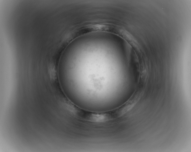 X0000112210469200908071457