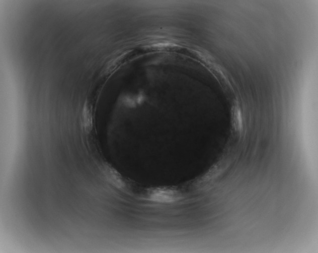 X0000112210471200908071457