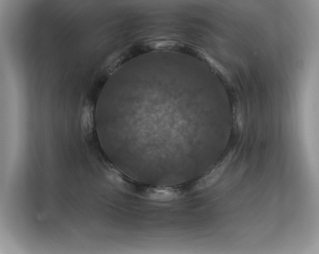 X0000112210475200908071458