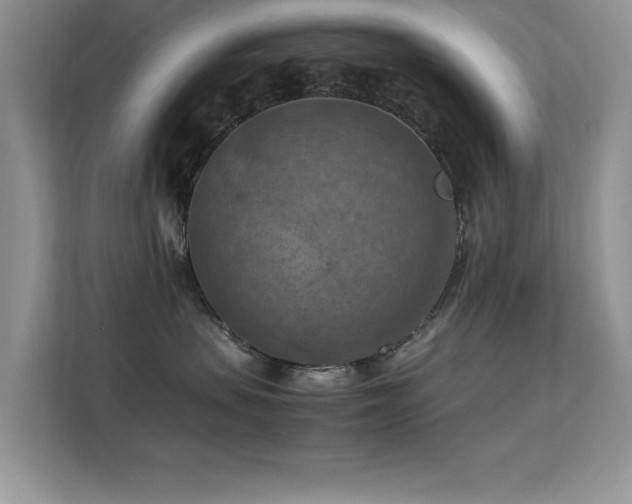 X0000112210479200908071458