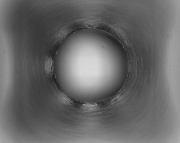 X0000112210480200908071458