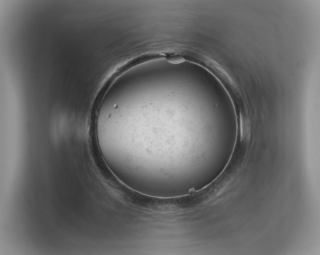 X0000112210483200908071457