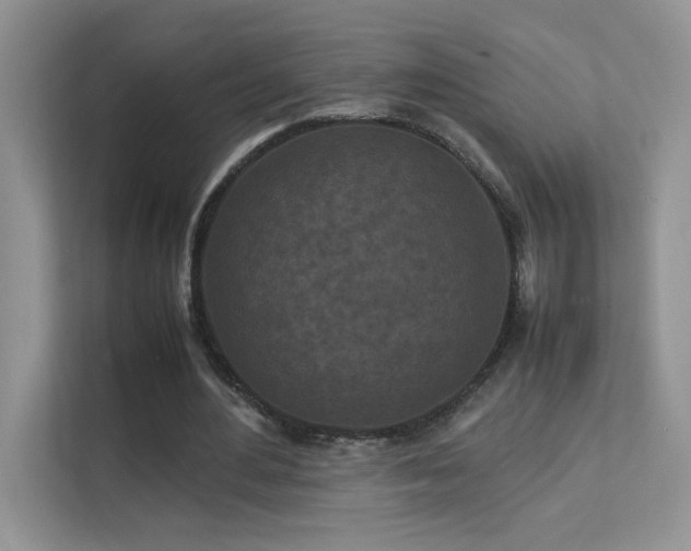 X0000112210484200908071457