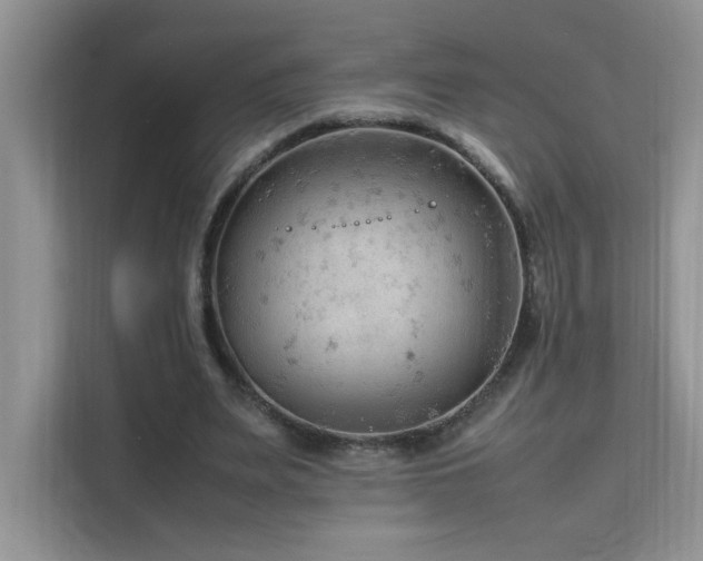 X0000112210487200908071457