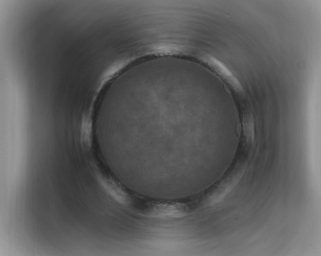 X0000112210488200908071457