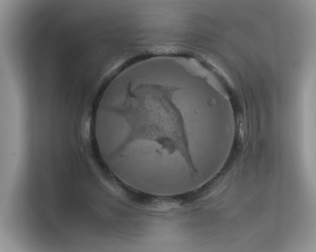 X0000112210491200908071457