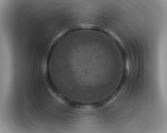 X0000112210492200908071457