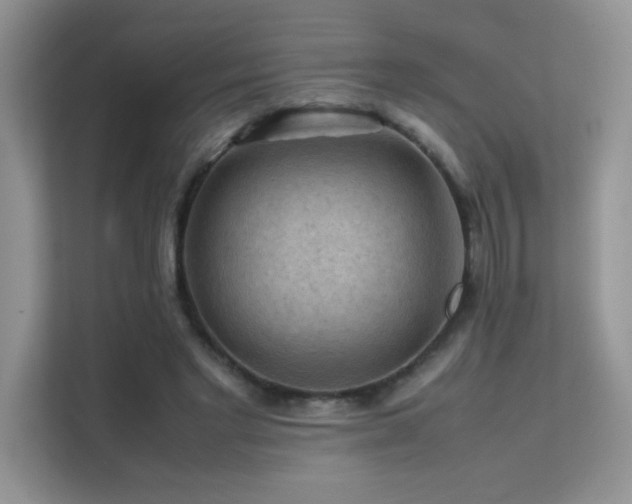 X0000112210493200908071457