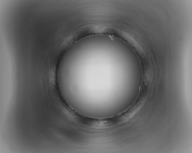 X0000112210497200908071457