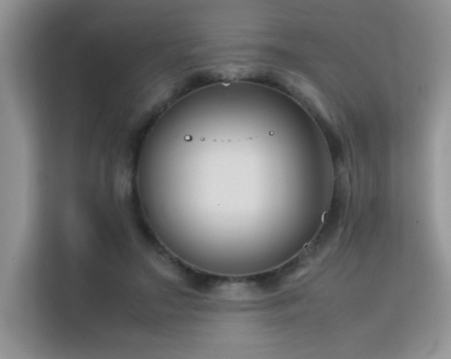 X0000112210499200908071457