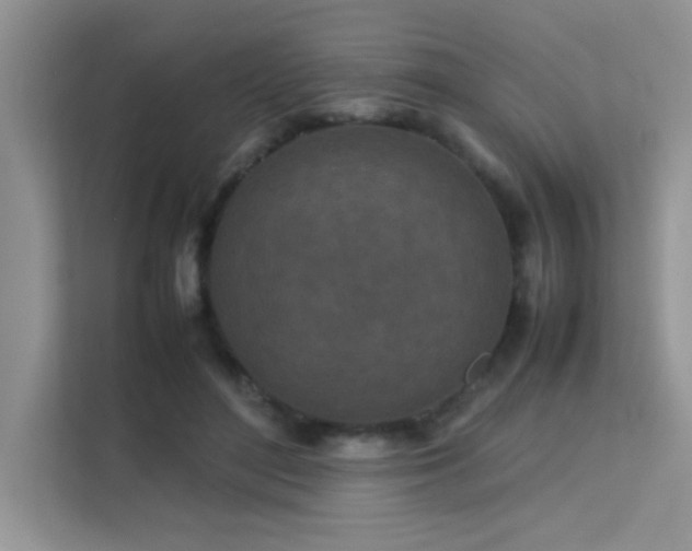 X0000112210500200908071457