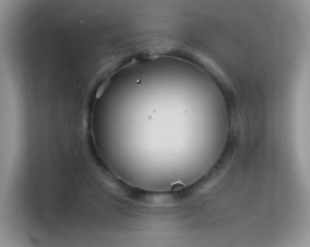 X0000112210501200908071457