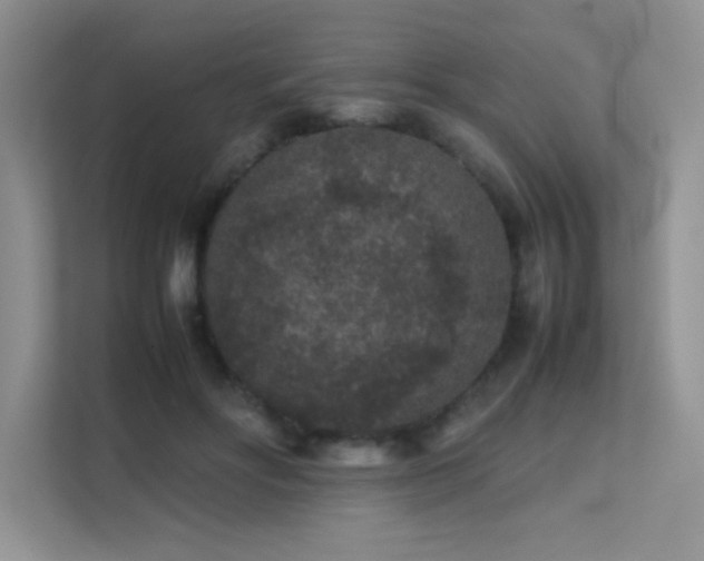 X0000112210502200908071457
