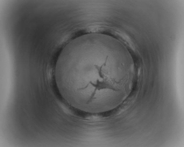 X0000112210503200908071457