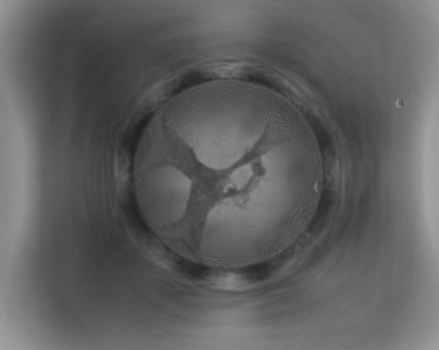 X0000112210507200908071457