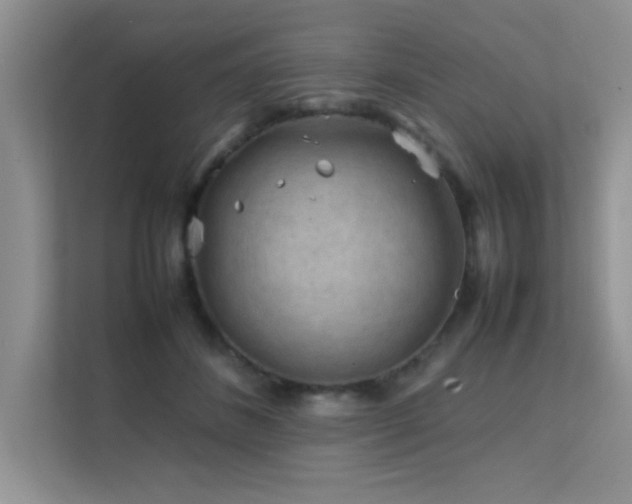 X0000112210508200908071457