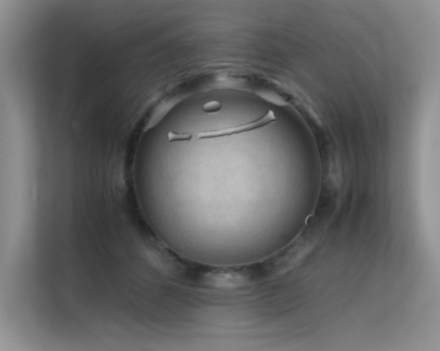 X0000112210512200908071457