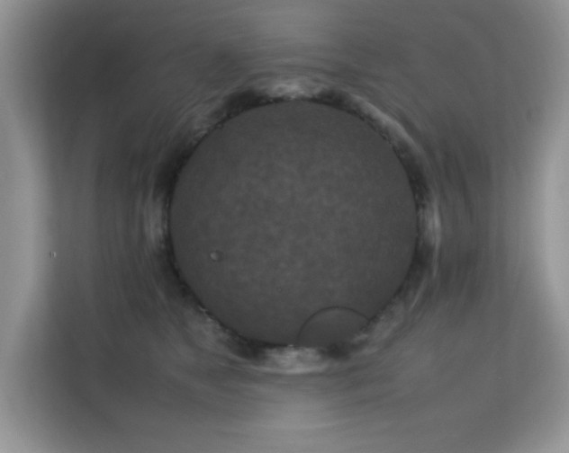 X0000112210517200908071456