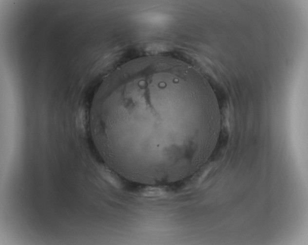 X0000112210519200908071456