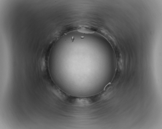 X0000112210520200908071456
