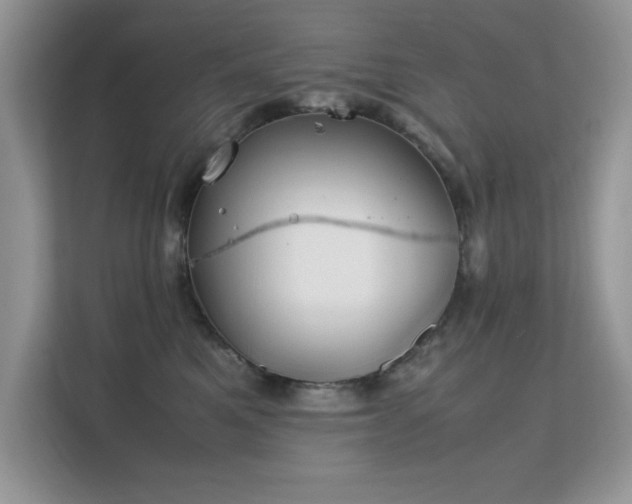 X0000112210521200908071456