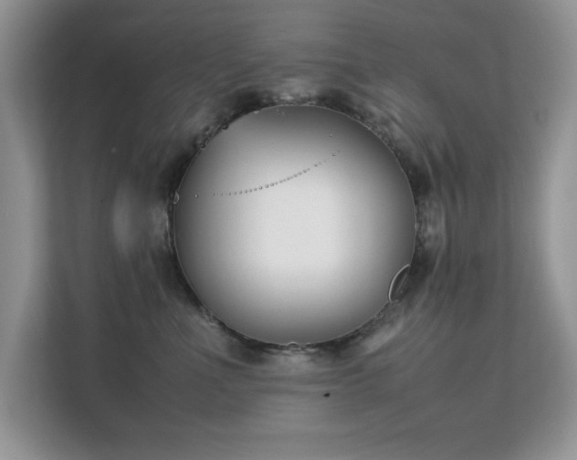 X0000112210523200908071456