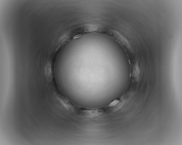X0000112210524200908071456
