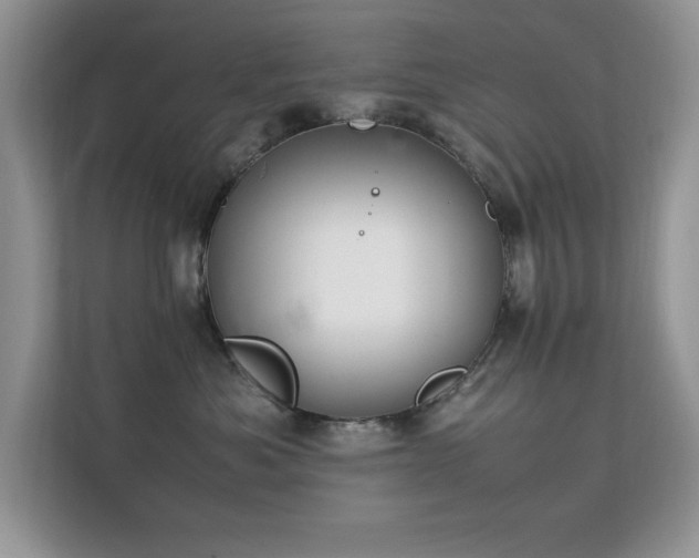 X0000112210525200908071456